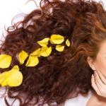 बालों के लिए मेंहदी: गुण और उपयोग के तरीके रंगहीन मेंहदी बालों के लिए कैसे मदद करती है