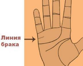 हाथ पर विवाह रेखा: अपने हाथ की हथेली से भाग्य की भविष्यवाणी कैसे करें