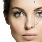 The ideal shape of the eyebrows for a round face: photo, video